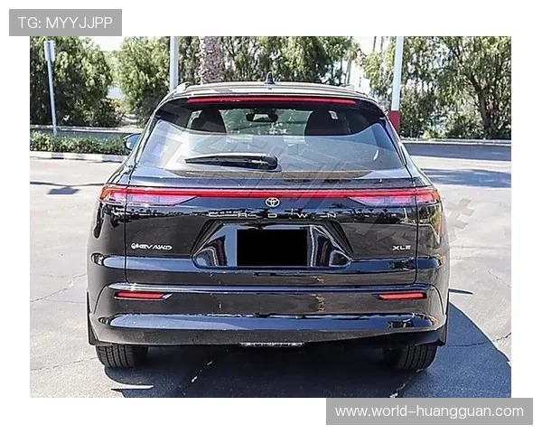 皇冠singnia品牌介绍与发展历程详解，带你全面了解其背后故事